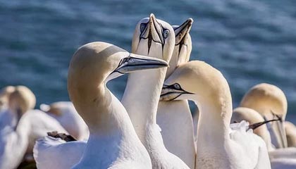 爱游戏多端接入-国足控球率与得分关系分析，足球控球率是什么意思