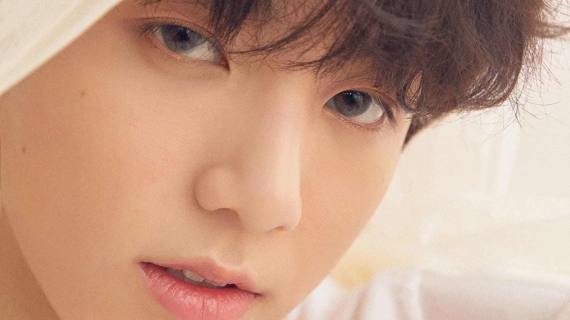 查尔斯·勒克莱尔在意大利大奖赛中夺冠,查尔斯莱伊尔