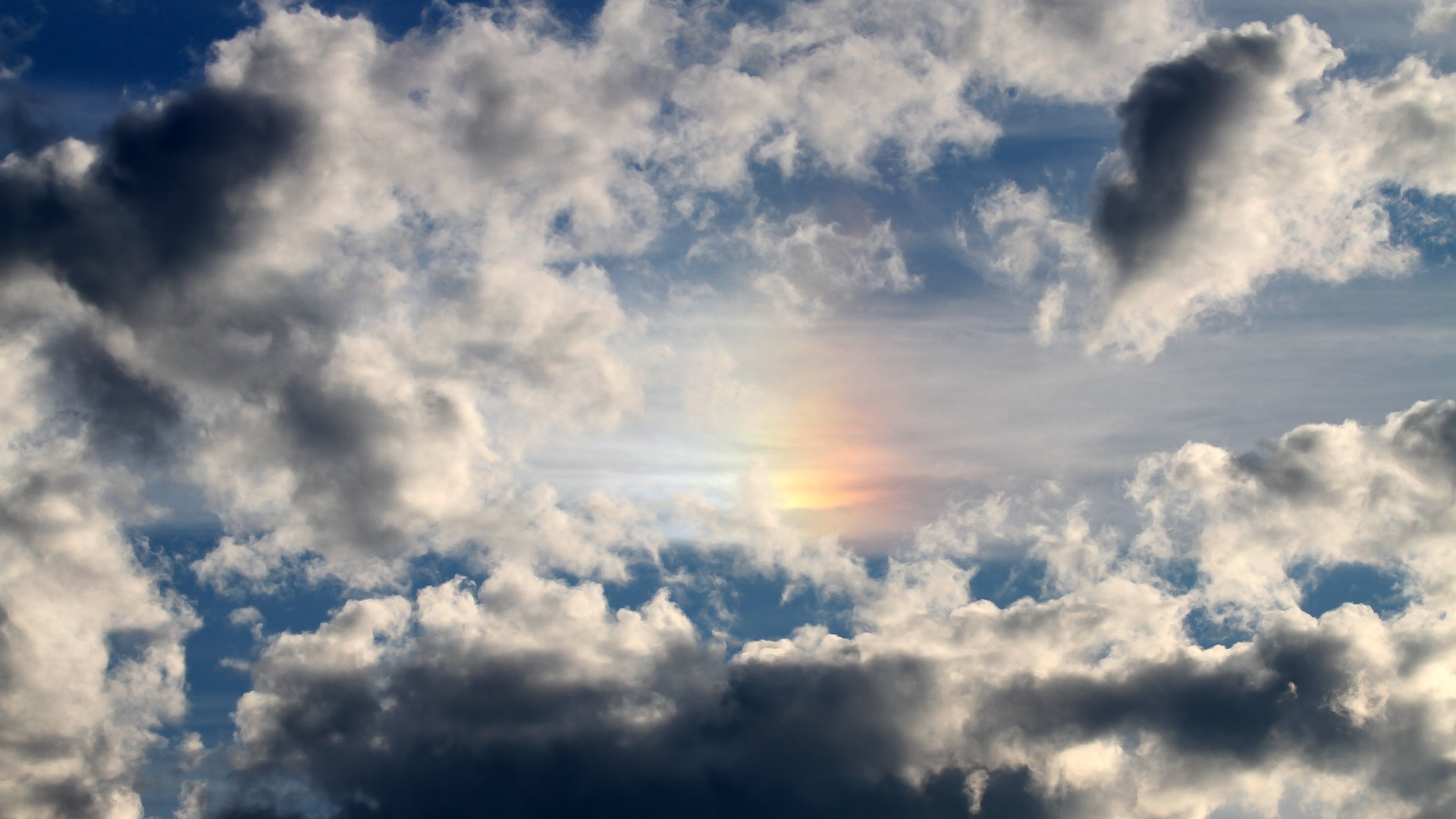 中国游泳队备战东京奥运会集训，中国游泳队东京奥运会预选赛