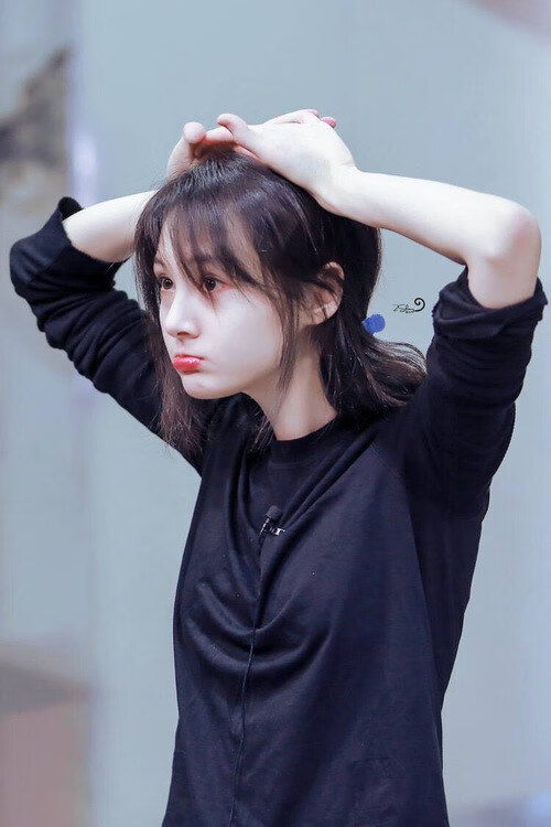 中国篮球教练团队沟通机制优化研究，篮球教练团队组成