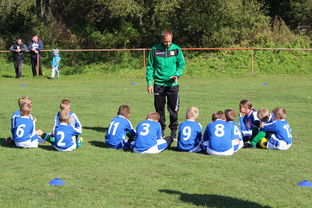 爱游戏体育客户端-中国足球战术模块组合搭配分析，国足战术风格