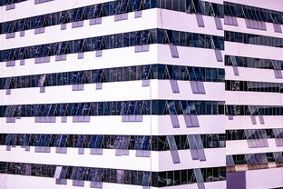 爱游戏官方入口-体育赛事风险管控体系建设，体育赛事风险防范