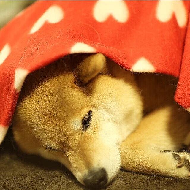 智能体育装备数据分析应用研究，智能体育器材发展前景