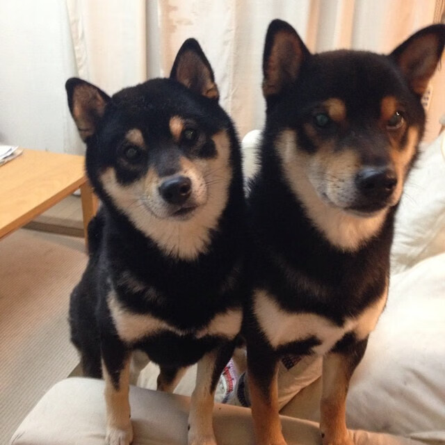 爱游戏-“金牛区城北体育馆：运动舞蹈赛，动感舞步与精湛技巧相结合，挑战自我极限！”