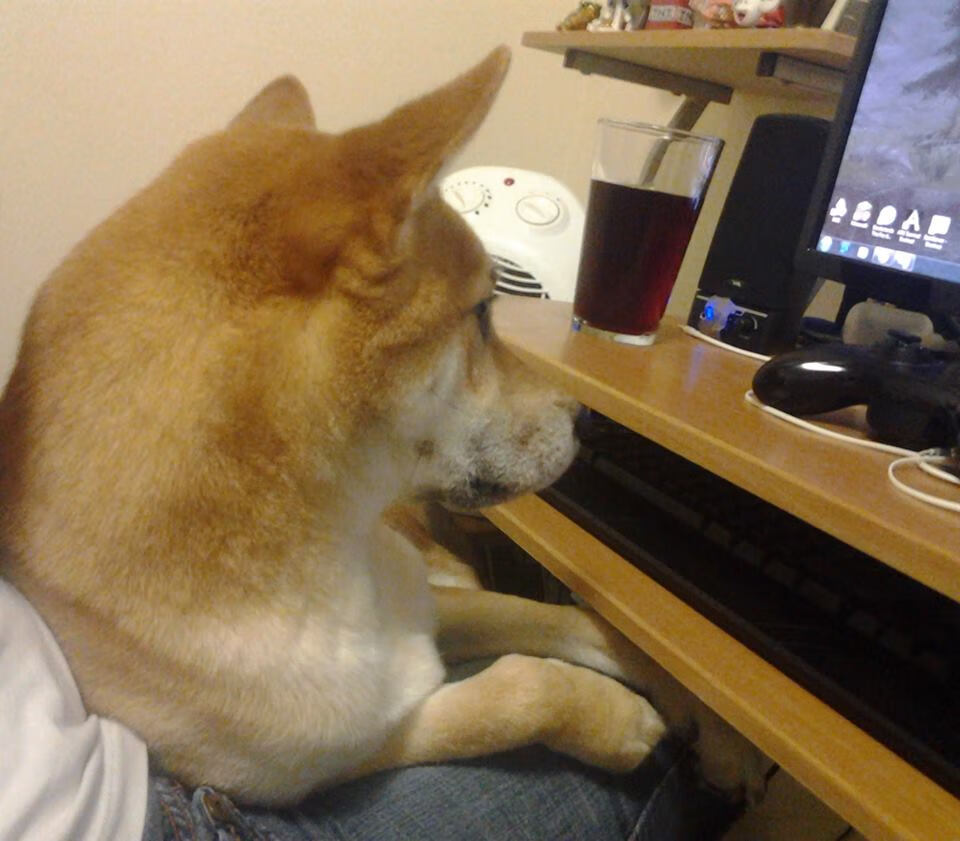 中国男篮备战世界杯 加强战术磨合,中国男篮备战世界杯 加强战术磨合了吗