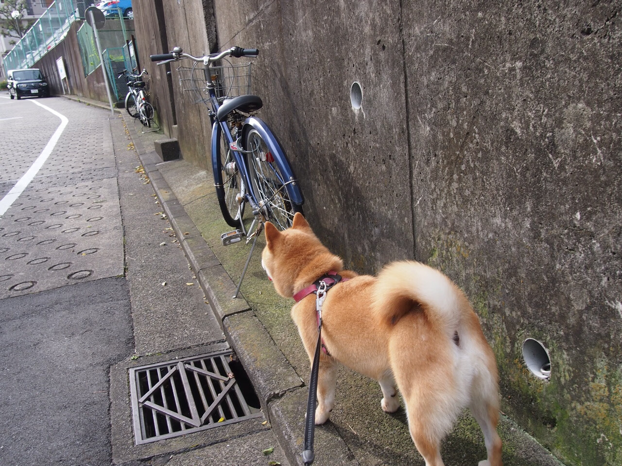 爱游戏官网下载-中国香港队的未来挑战：如何在国际乒乓赛事中逐渐崭露头角，乒乓球香港队